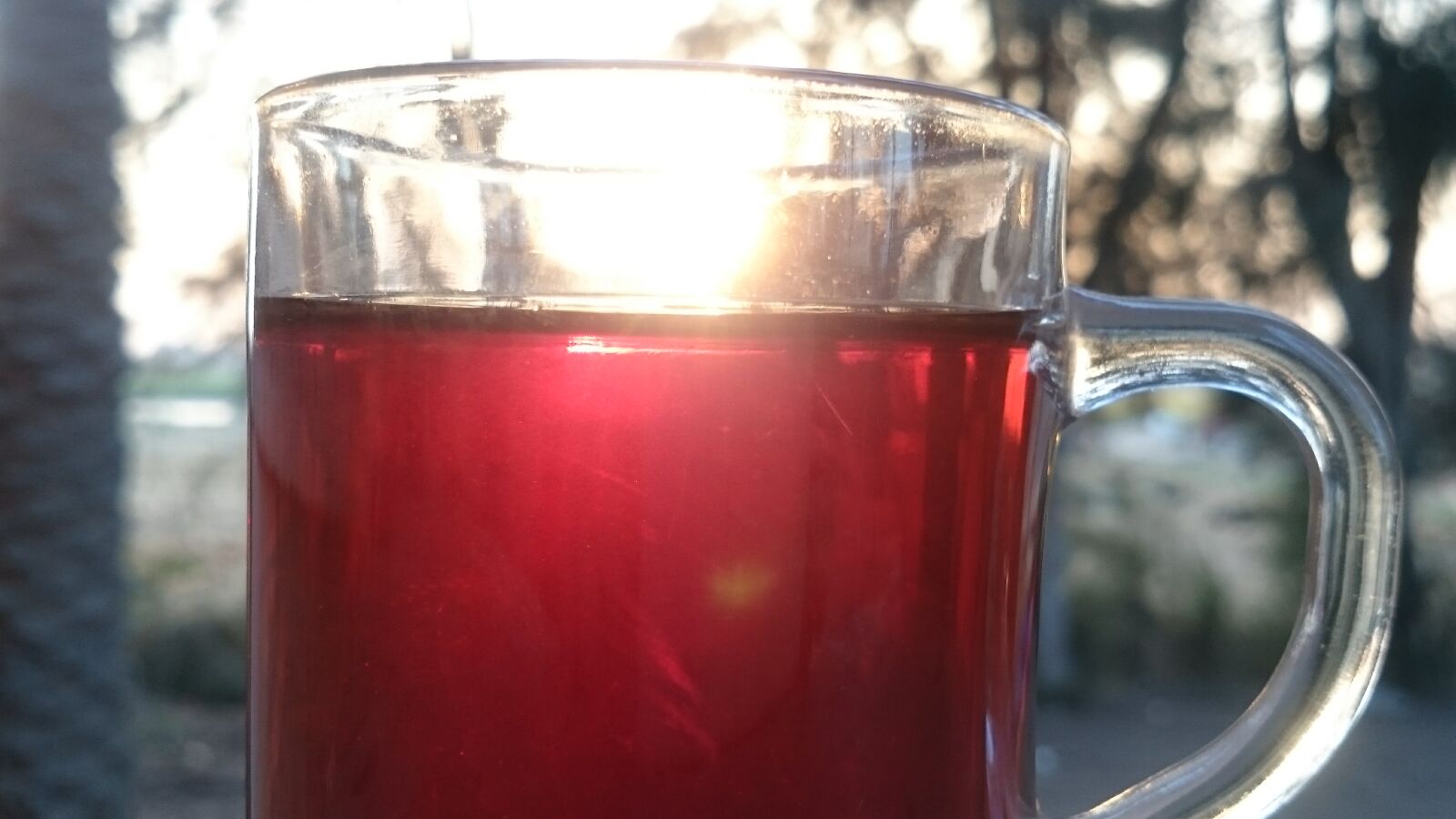 Sony Xperia Z2 sample photo. Sun, set, tea photography