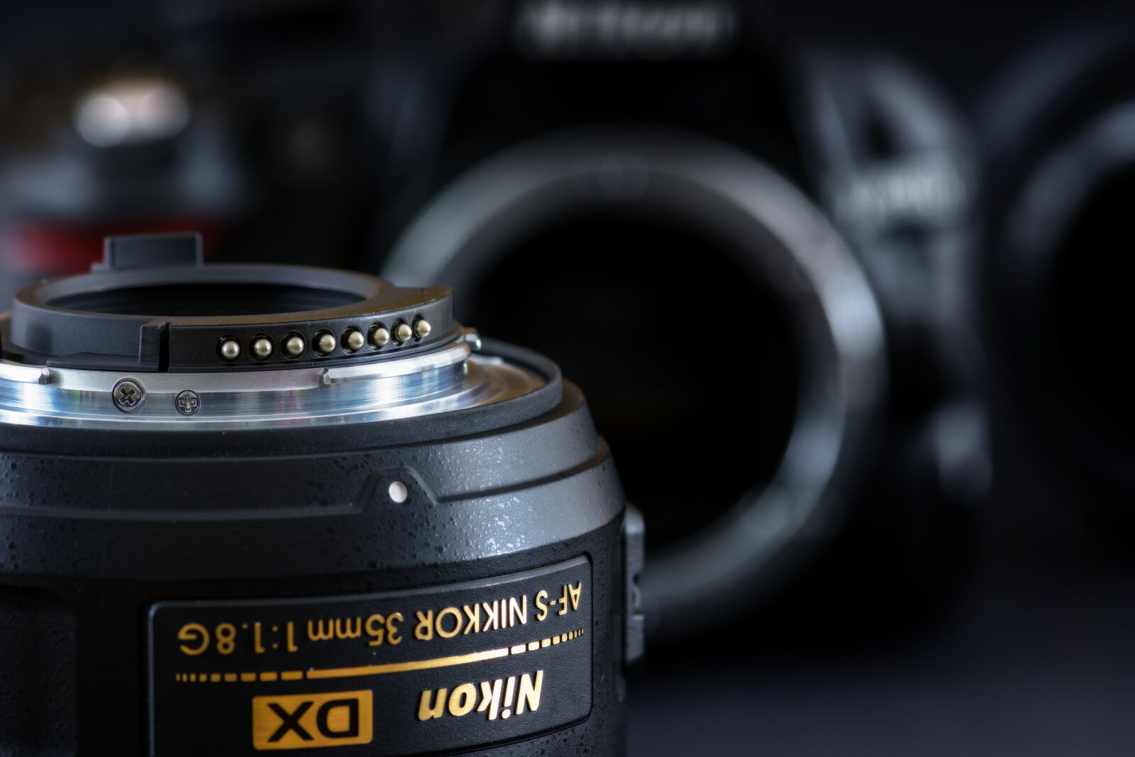 Nikon D7200 sample photo. Lens, camera, nikon photography