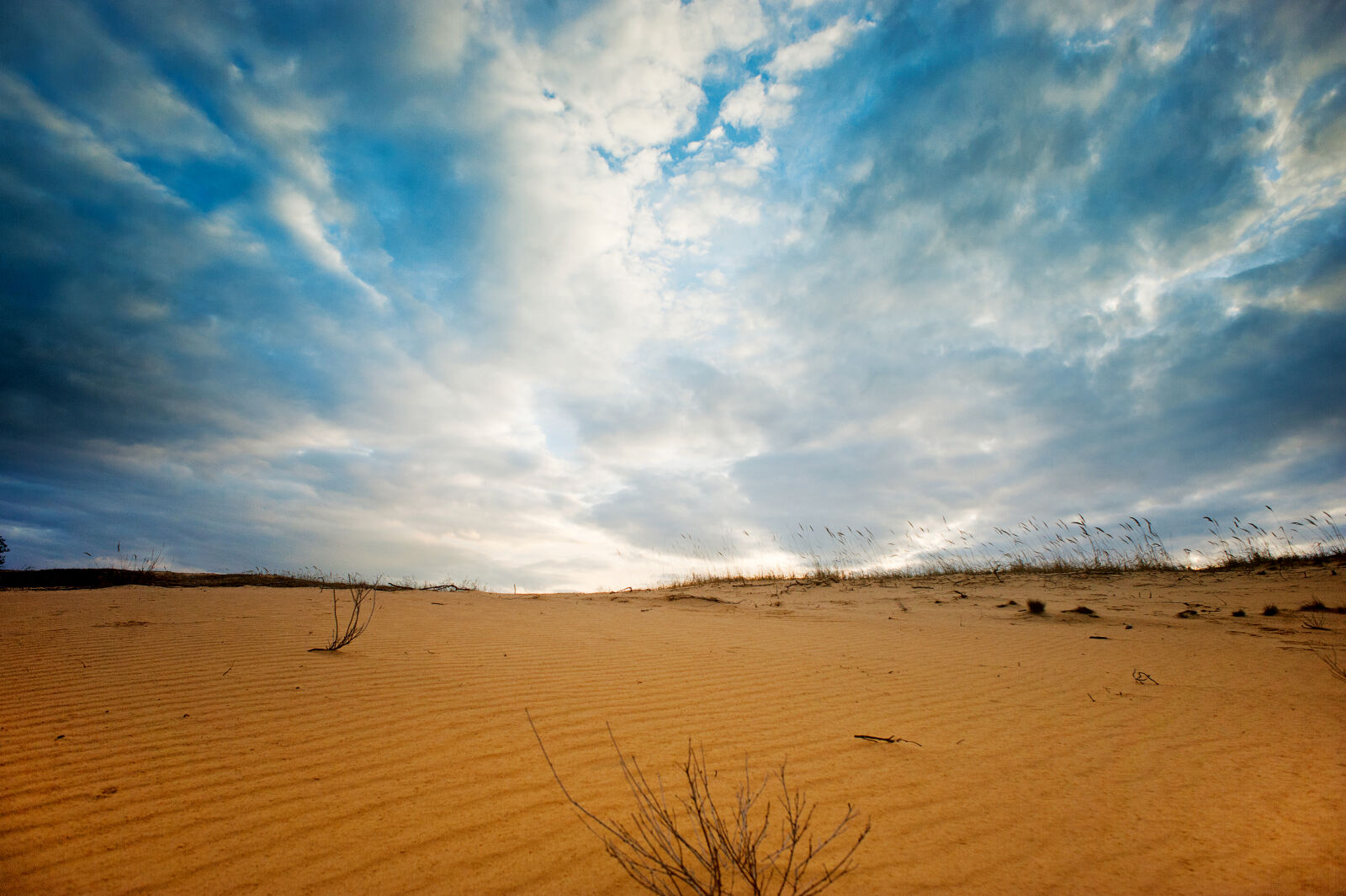 Nikon D700 sample photo. Arid, daylight, desert, drought photography