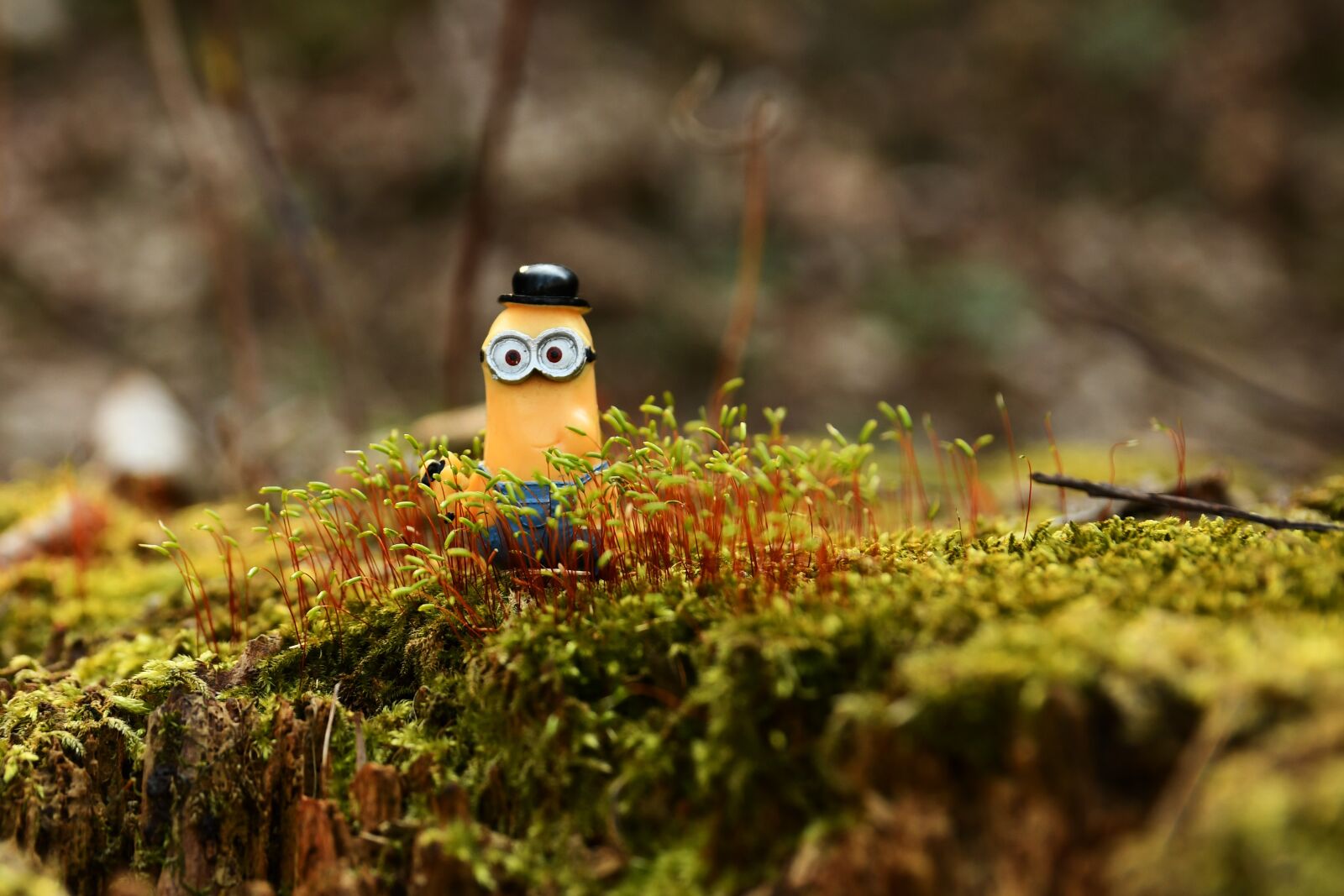 Nikon D7500 sample photo. Minion, funny, toys photography