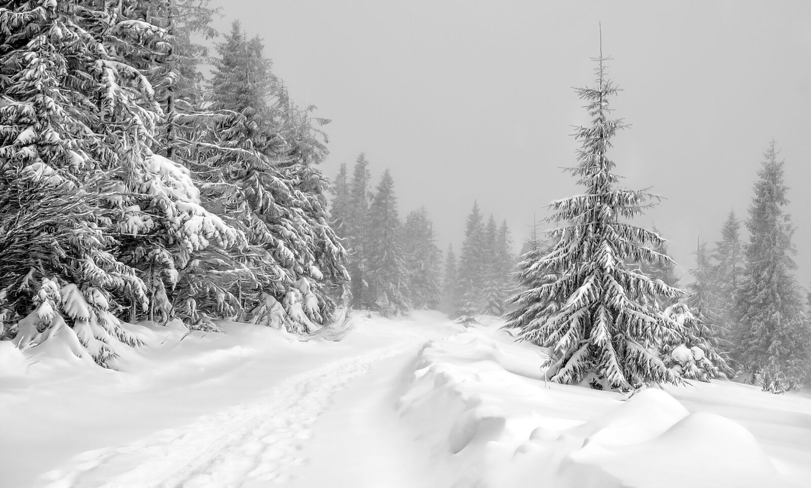 Nikon D90 sample photo. Way, winter, mountains photography