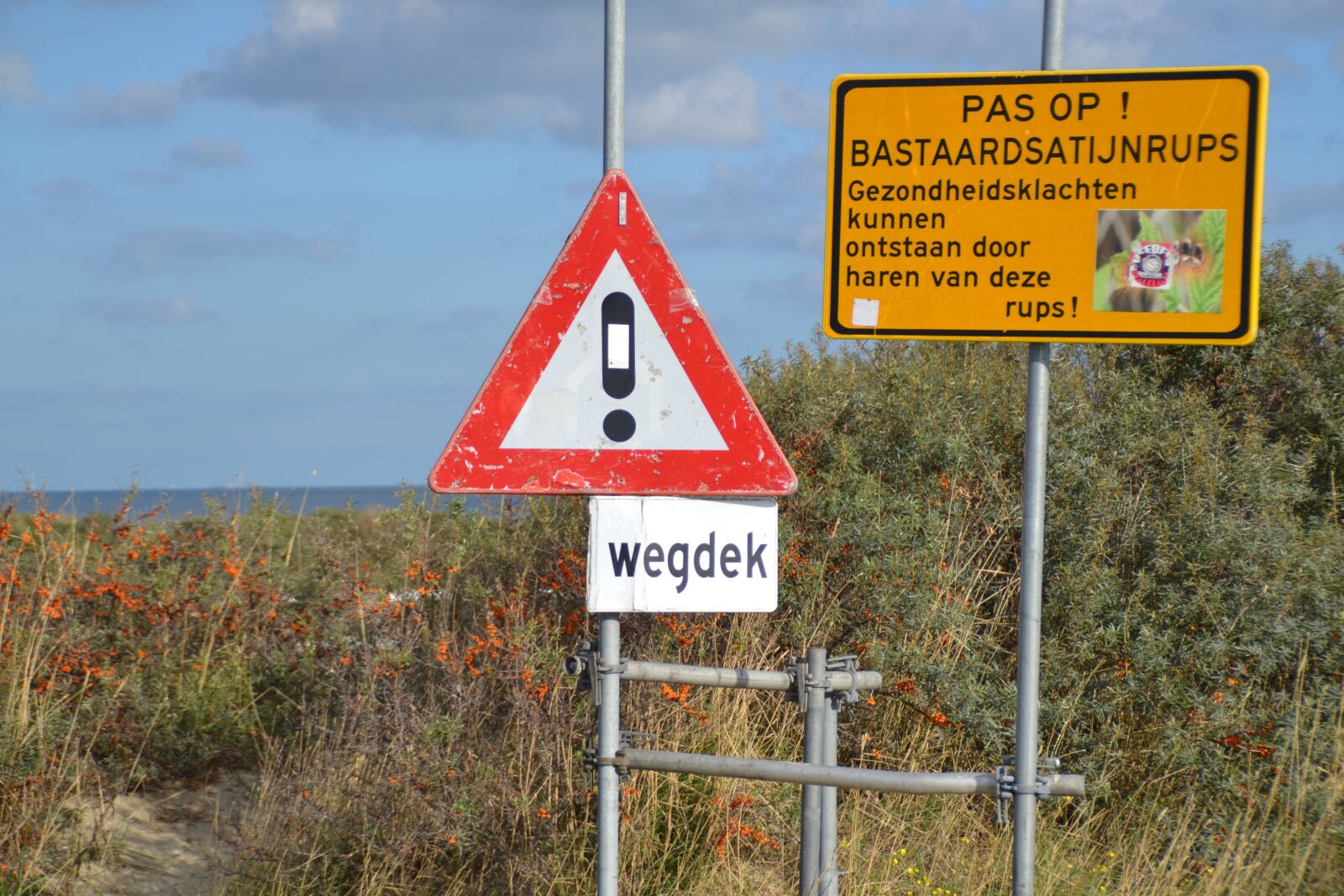 Nikon D3100 sample photo. Warning, see, danger photography