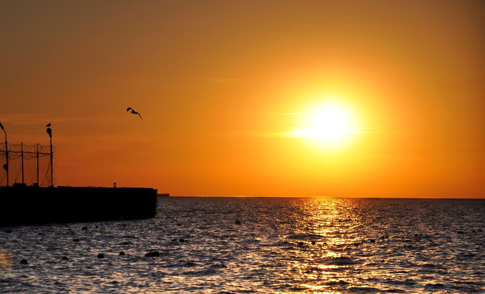 Nikon D90 sample photo. Sea, sunset, marina photography