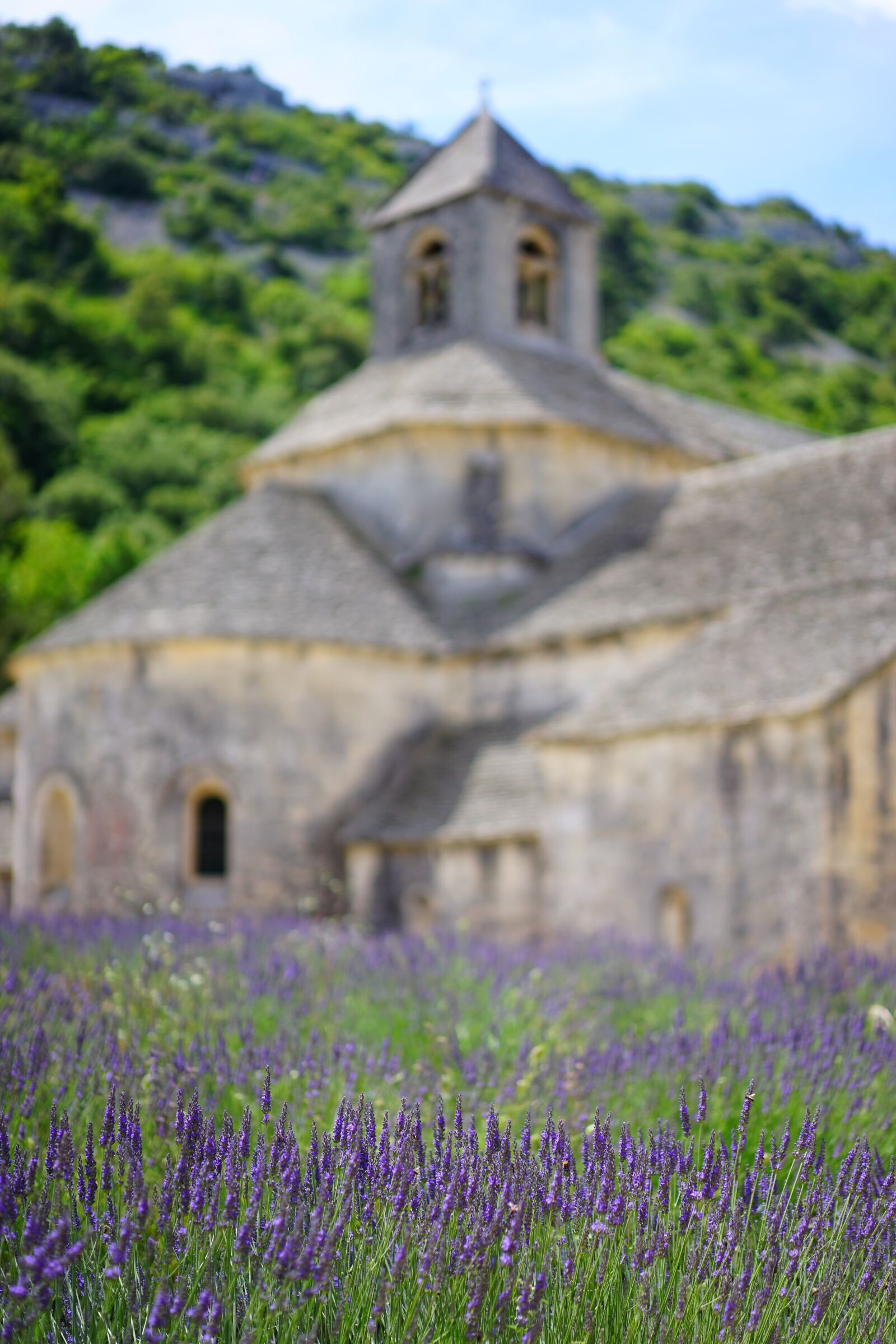 Sony a7 + Sony Sonnar T* FE 55mm F1.8 ZA sample photo. Abbaye de s nanque photography