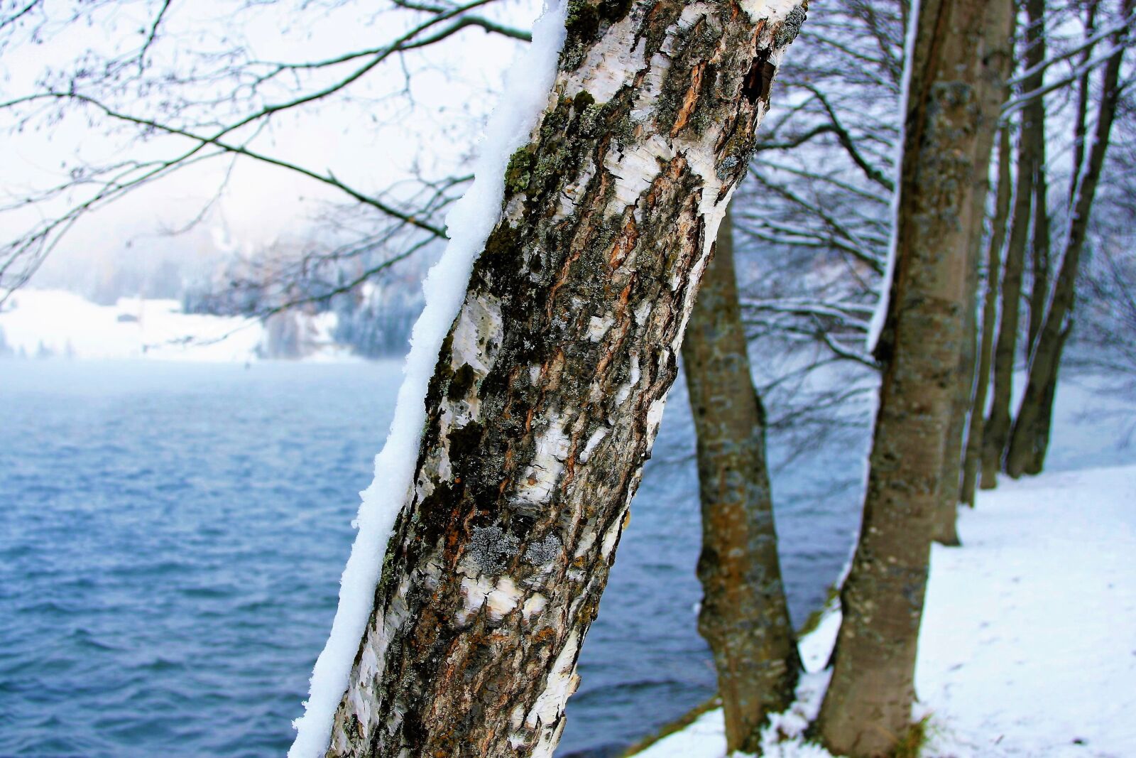 Canon EOS 400D (EOS Digital Rebel XTi / EOS Kiss Digital X) sample photo. Winter, snow, lake alpine photography
