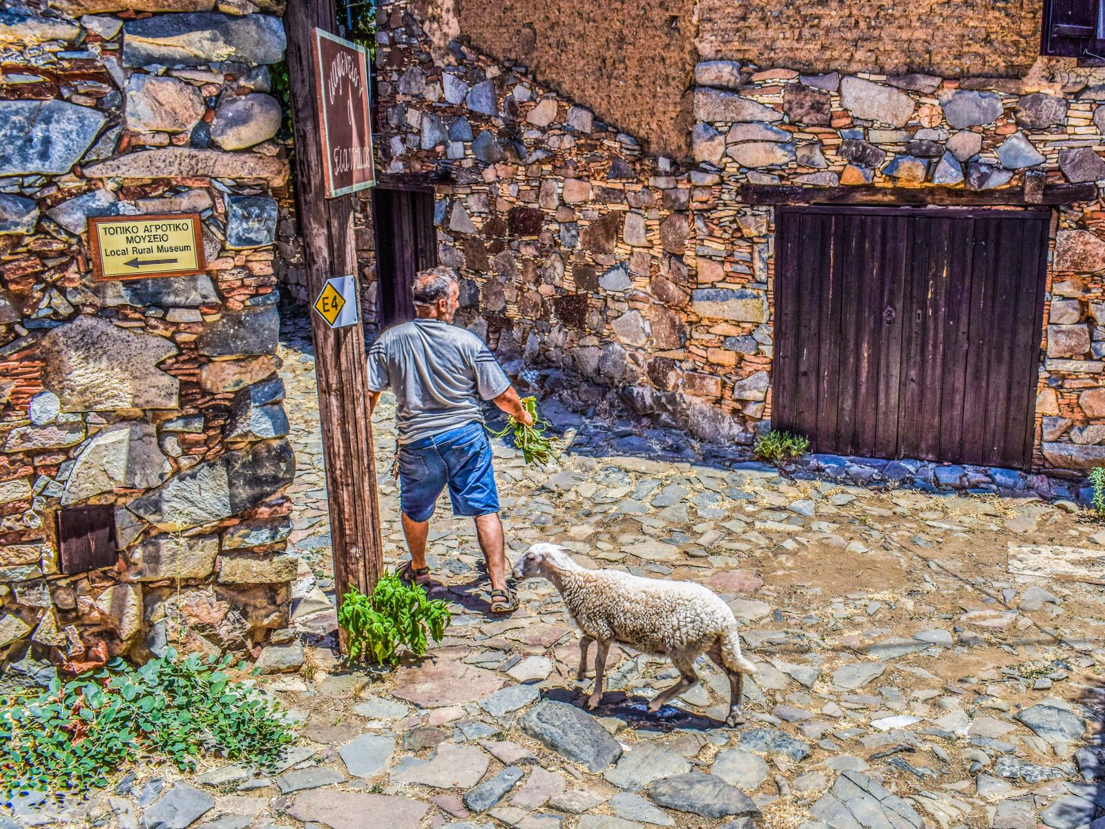 Nikon D3300 sample photo. Cyprus, fikardou, village photography