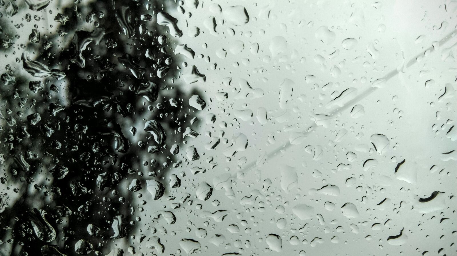 HTC Desire 816 dual sim sample photo