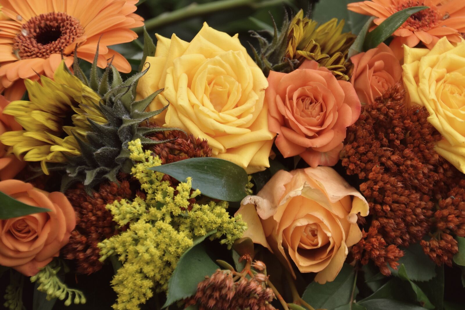 Nikon D5600 sample photo. Flowers, bouquet, colorful photography