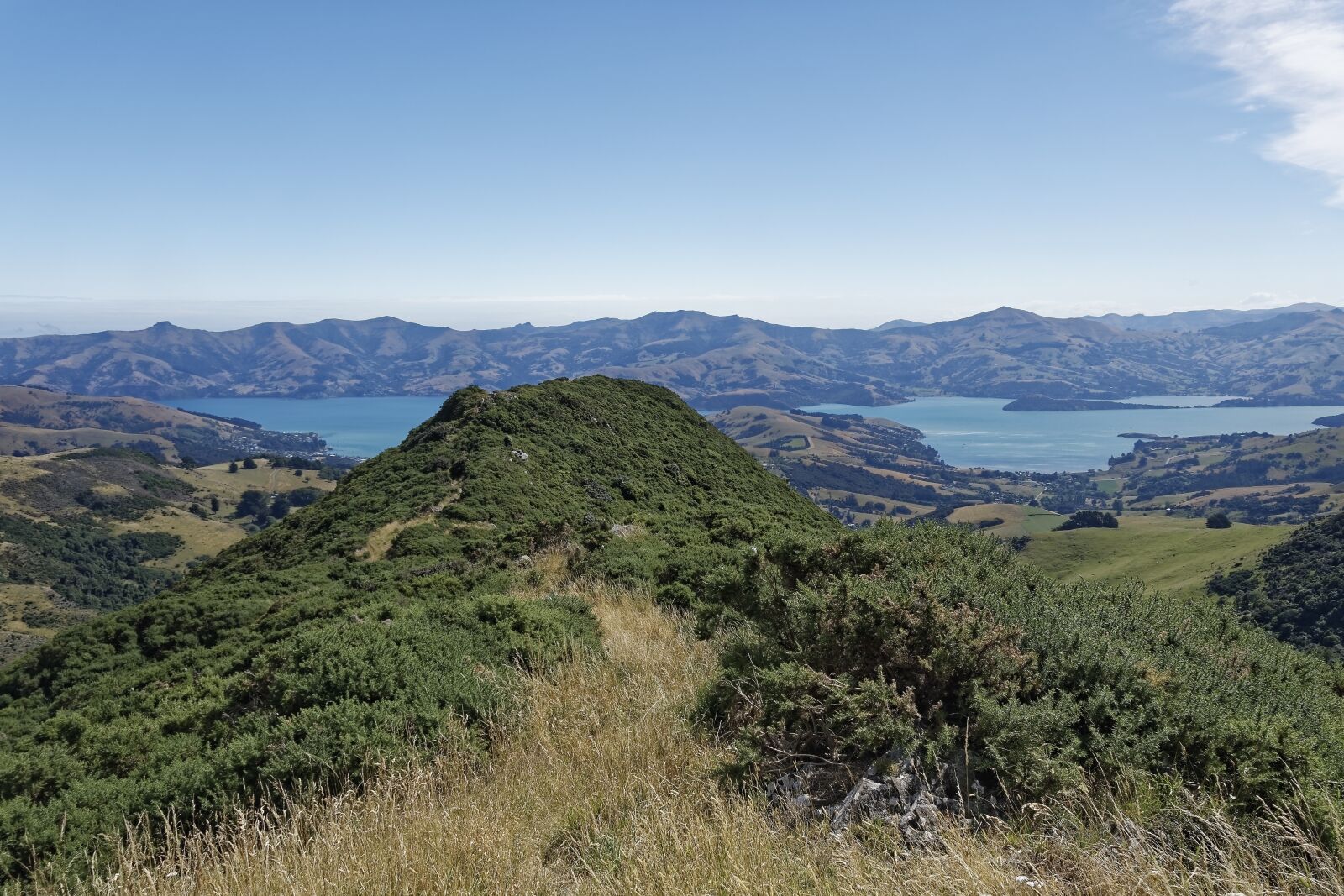 Nikon D500 sample photo. New zealand, banks peninsula photography
