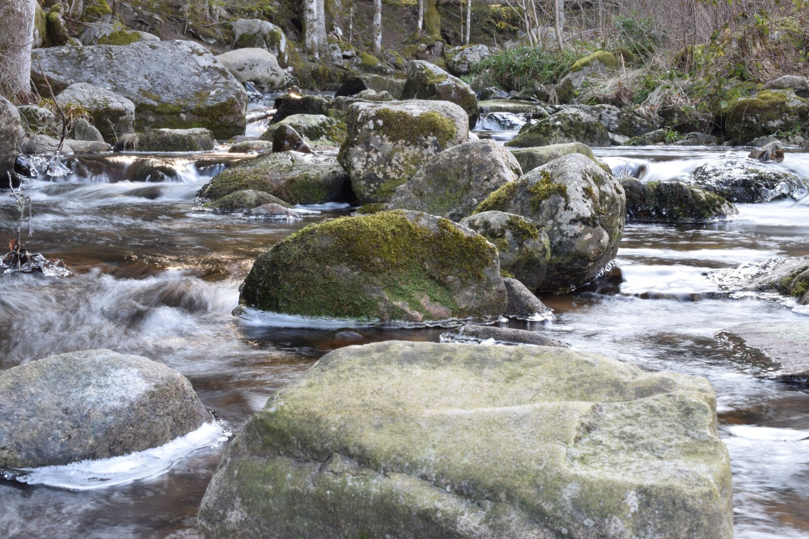 Nikon D5300 sample photo. Gel, river, water photography