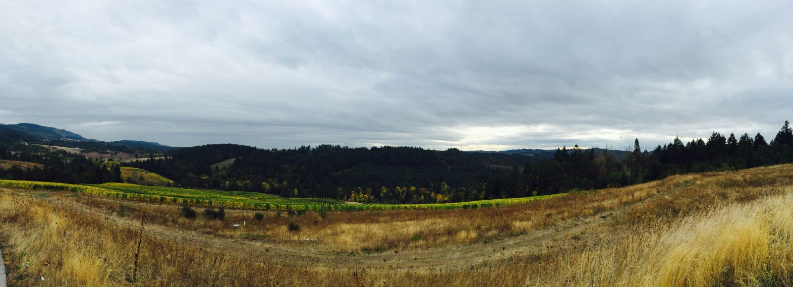 Apple iPhone 6 sample photo. Wine, landscape, sky photography