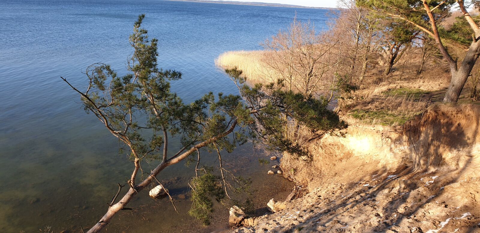Samsung Galaxy S9 sample photo. Masuria, lake, tree photography