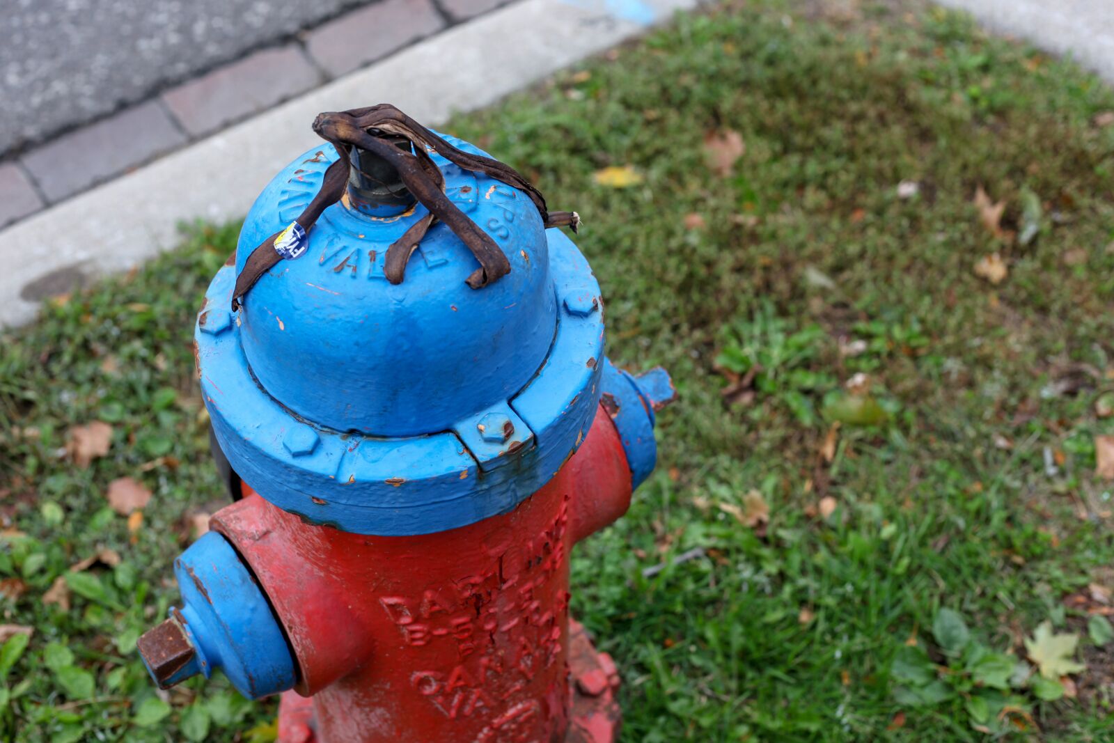 Canon EOS 5D Mark II sample photo. Hydrant, banana, vandalism photography
