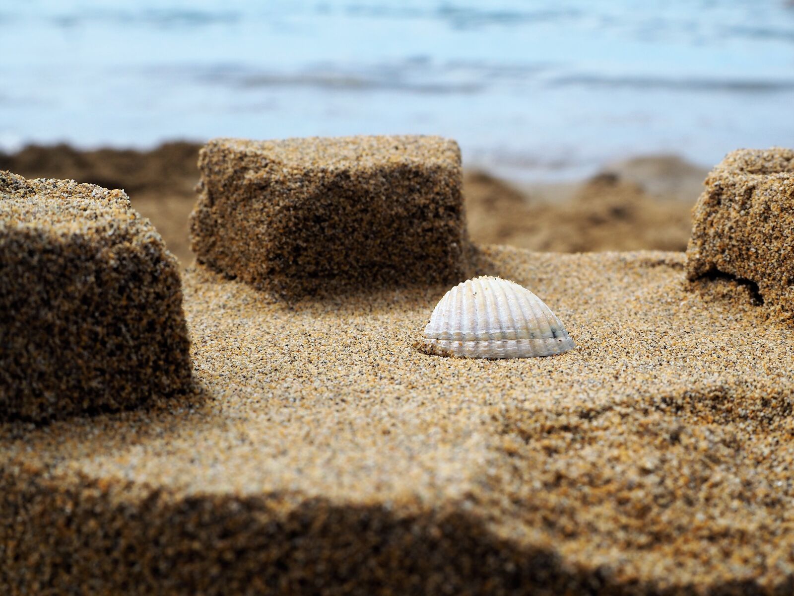 Olympus OM-D E-M10 sample photo. Beach, sand, sea photography