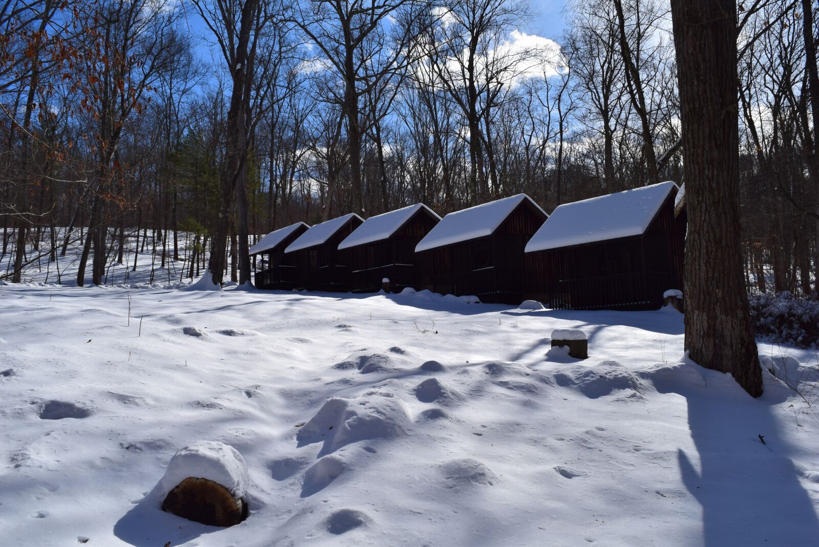 Nikon D3300 sample photo. Snow, winter, cabins photography