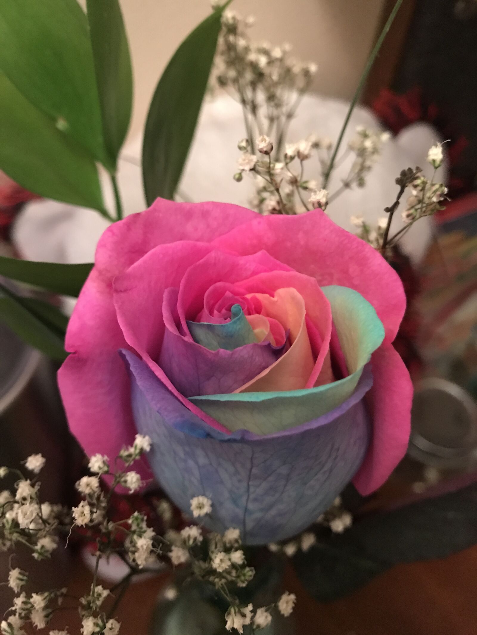 iPhone 7 Plus back dual camera 3.99mm f/1.8 sample photo. Flower, decoration, rose photography