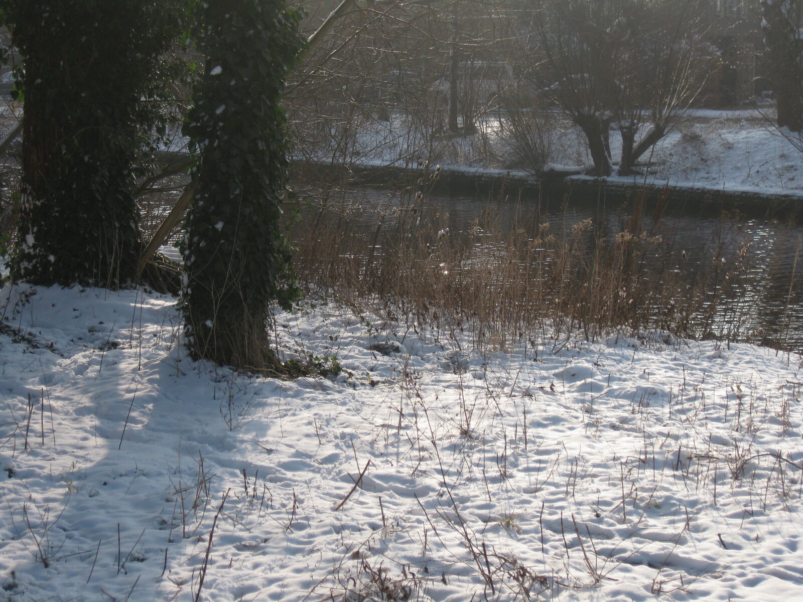 Canon DIGITAL IXUS 82 IS sample photo