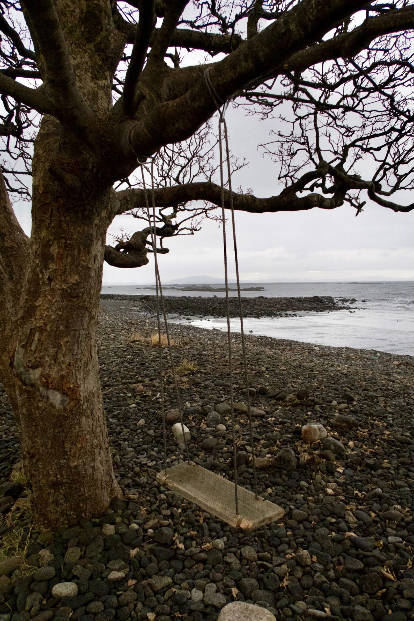 Canon PowerShot G7 X sample photo. Swing, nature, winter photography