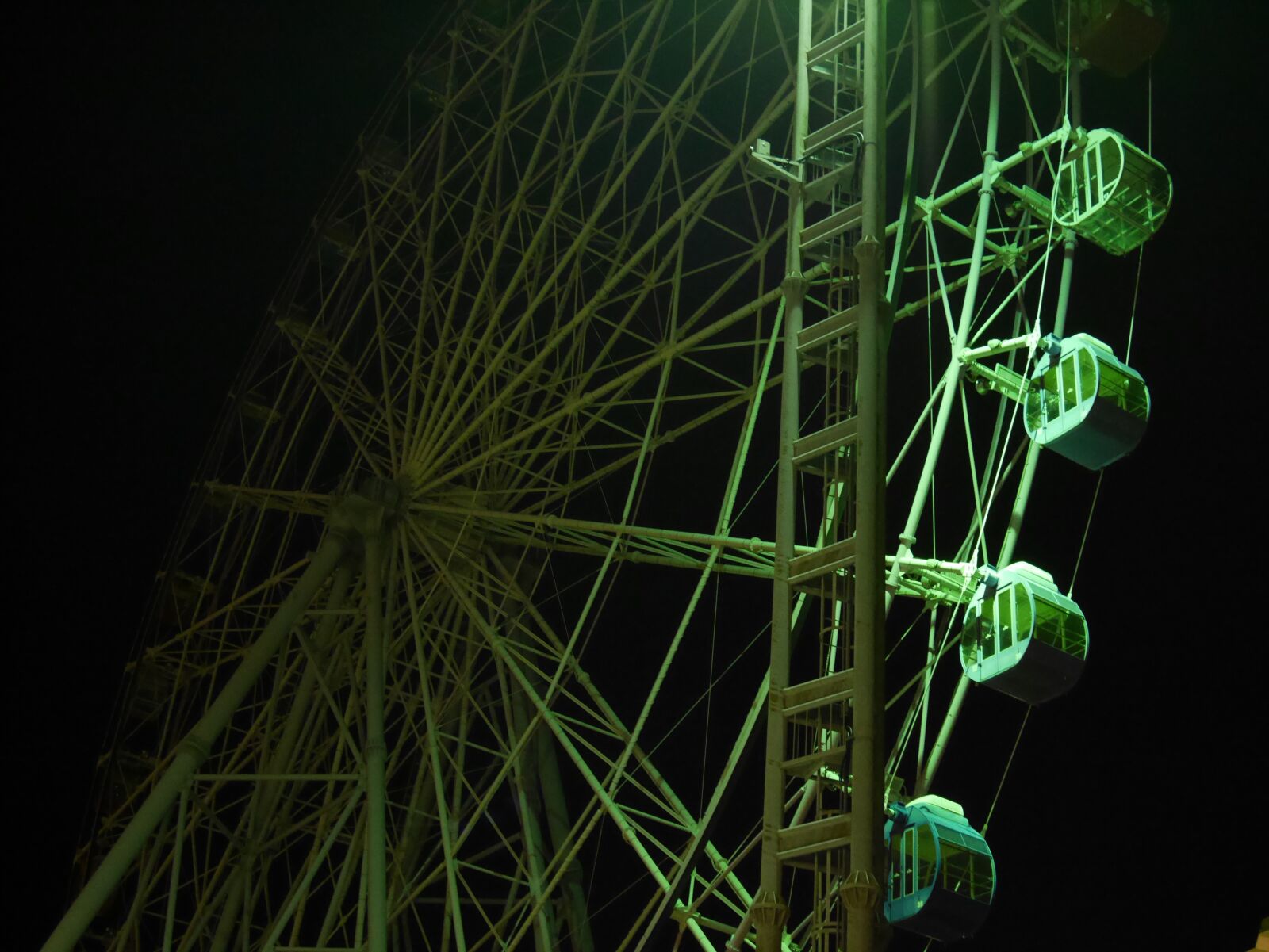 Panasonic Lumix DMC-GM1 sample photo. Ferris wheel, night, fantastic photography