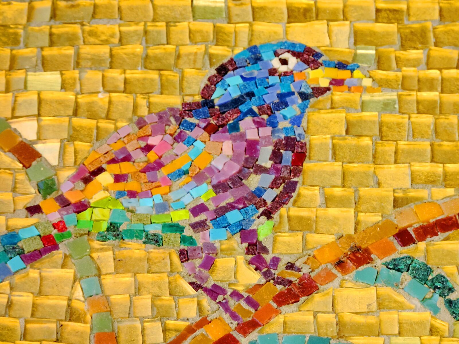 Nikon Coolpix P520 sample photo. Art, bird, colorful, detail photography