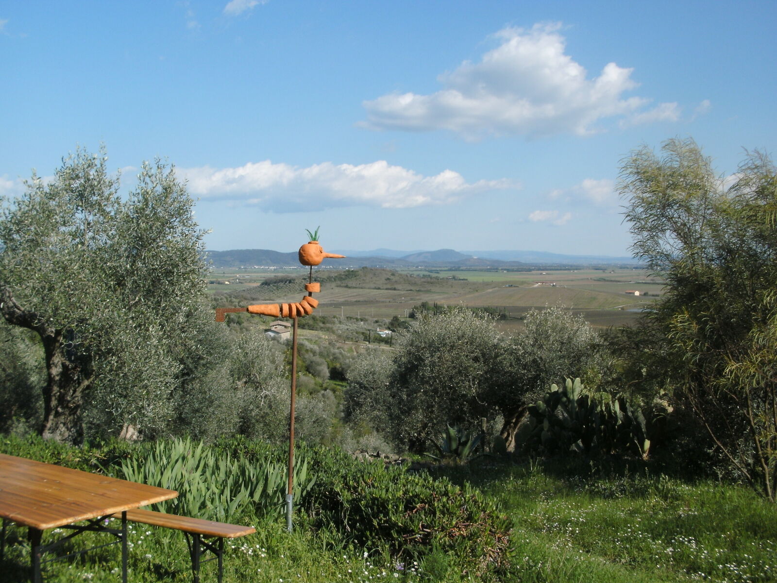 TRAVELER DC-12 sample photo. Tuscany photography
