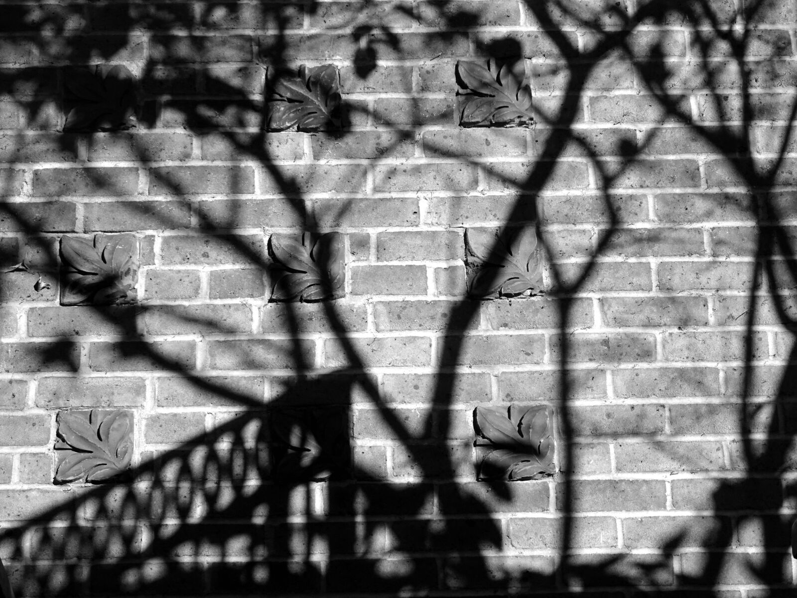 Sony DSC-HX60 sample photo. Black, and, white, photo photography
