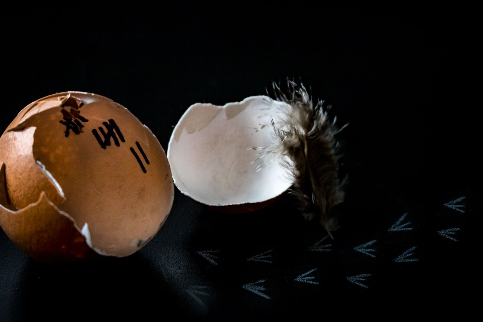 Canon EOS 750D (EOS Rebel T6i / EOS Kiss X8i) sample photo. Food, egg, chicken eggs photography