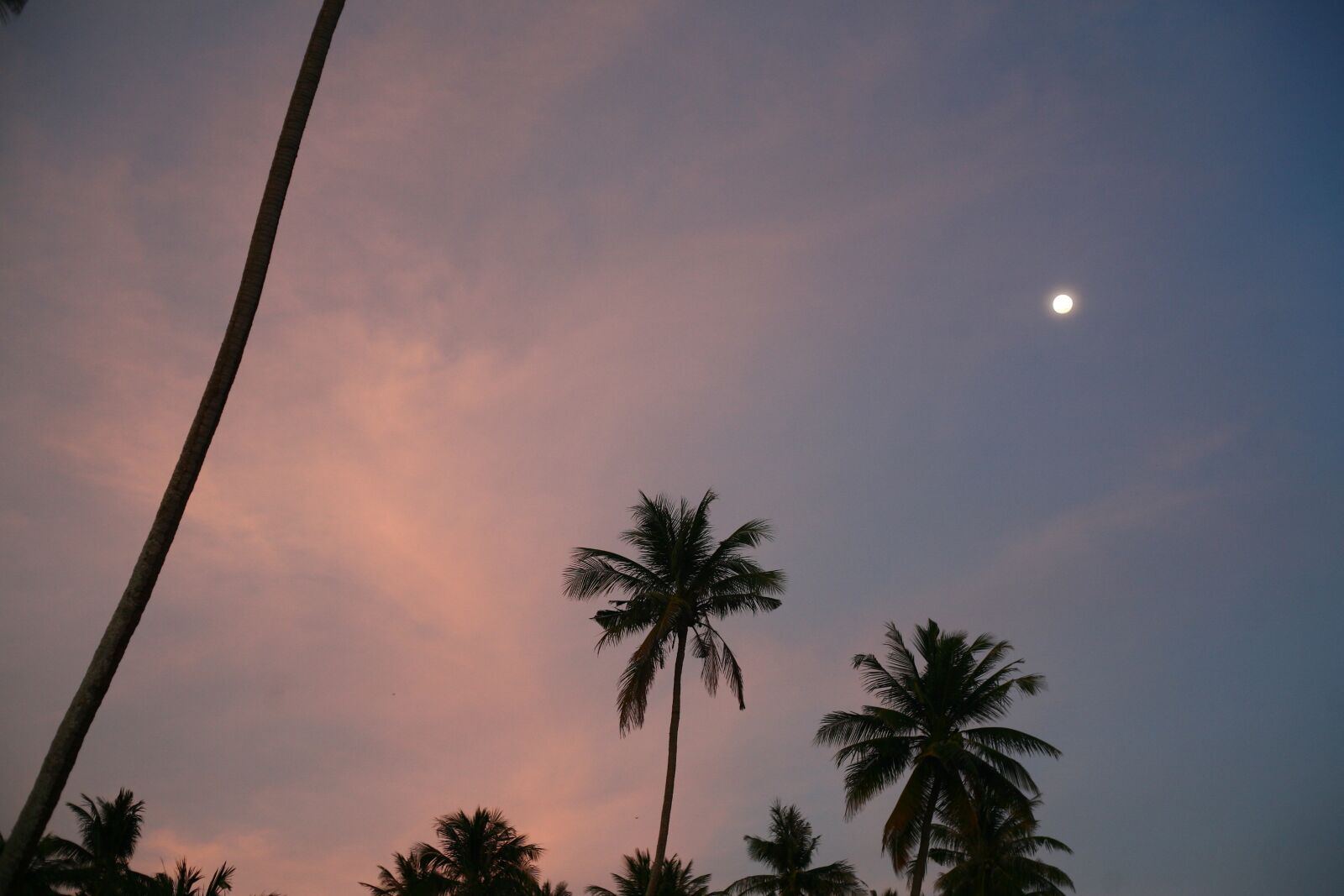 Canon EOS 5D sample photo. Sunset, seascape, tropics photography
