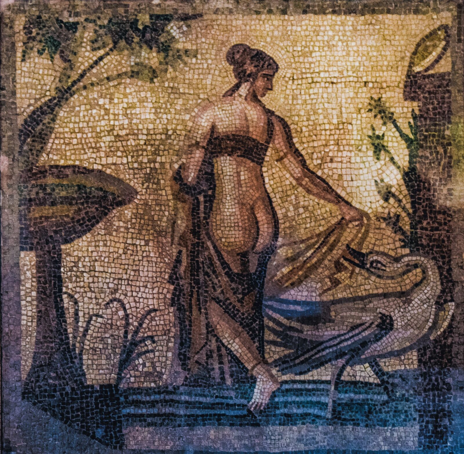 Nikon D3300 sample photo. Leda and swan, mosaic photography