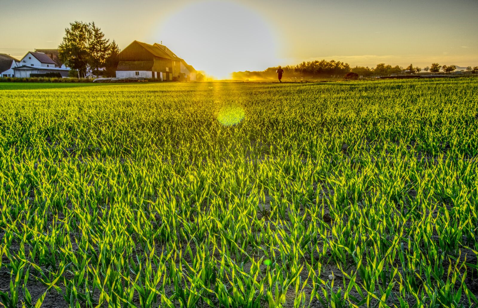Sony E 16-50mm F3.5-5.6 PZ OSS sample photo. Sunset, mood, jog photography