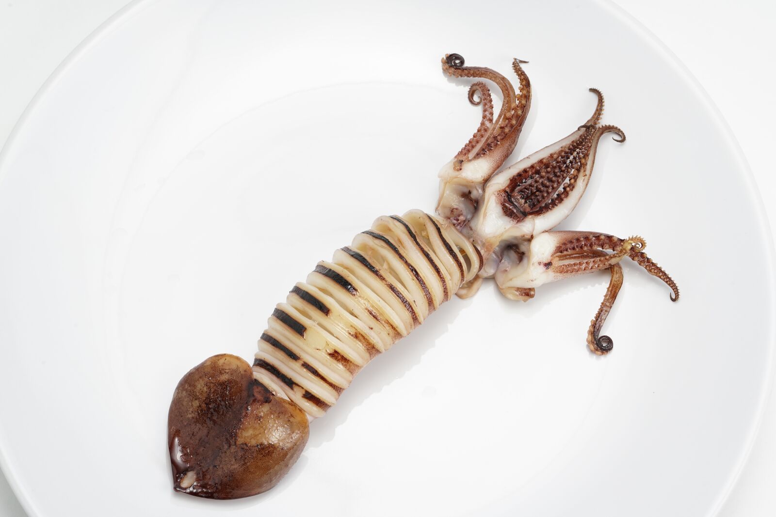Sony a7R II + Sony FE 90mm F2.8 Macro G OSS sample photo. Squid, sea, food photography