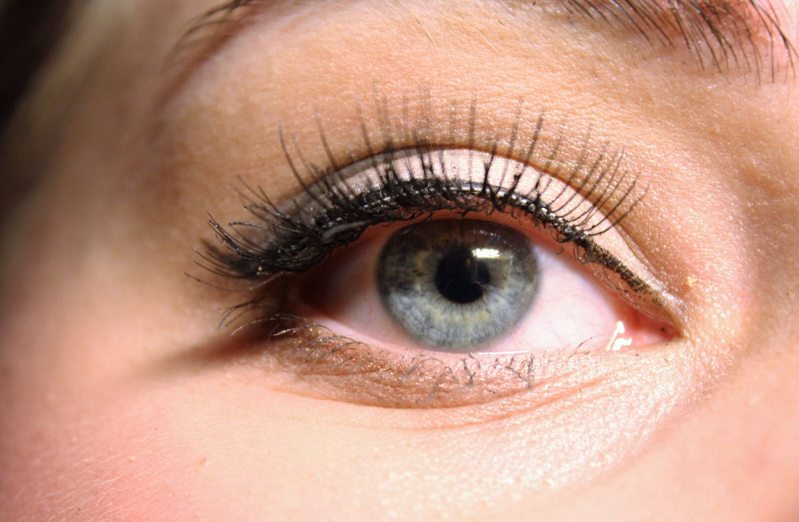 Canon EOS 1200D (EOS Rebel T5 / EOS Kiss X70 / EOS Hi) sample photo. The eye, blue, false photography