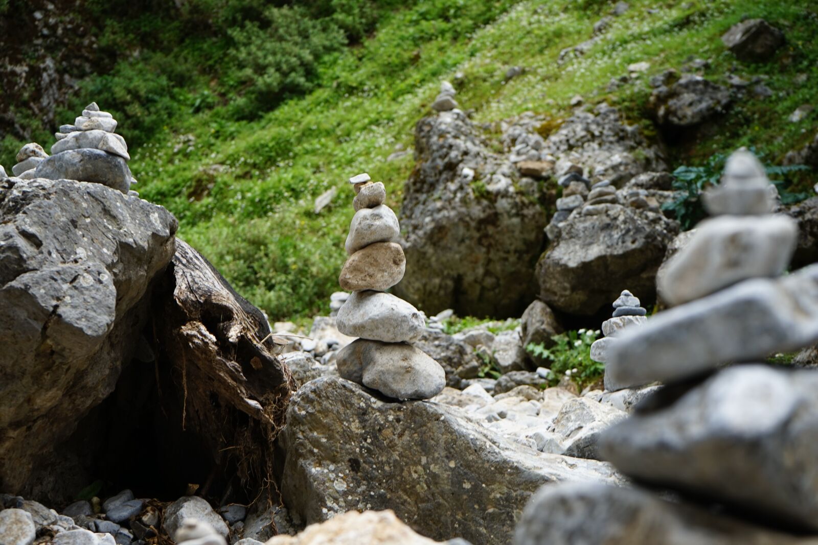 Sony a7 + Sony FE 28-70mm F3.5-5.6 OSS sample photo. Zen, ytong, imbros george photography