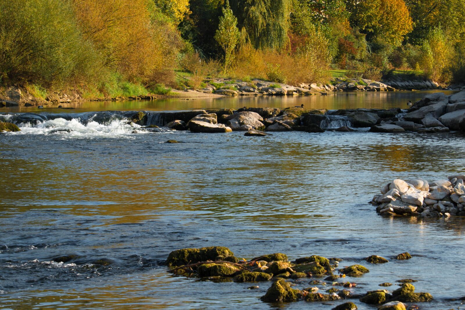 Canon EOS 70D + Canon EF-S 55-250mm F4-5.6 IS STM sample photo. River, autumn, birs photography