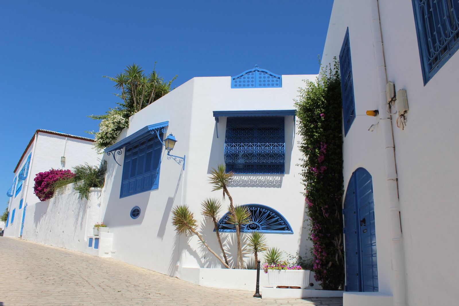 Canon EOS 600D (Rebel EOS T3i / EOS Kiss X5) sample photo. Tunisia, city, tourism photography