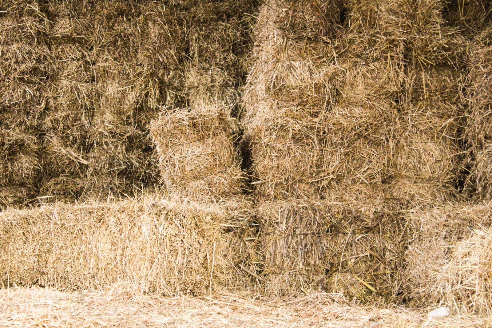 Canon EOS 2000D (EOS Rebel T7 / EOS Kiss X90 / EOS 1500D) sample photo. Straw, countryside, yellow photography