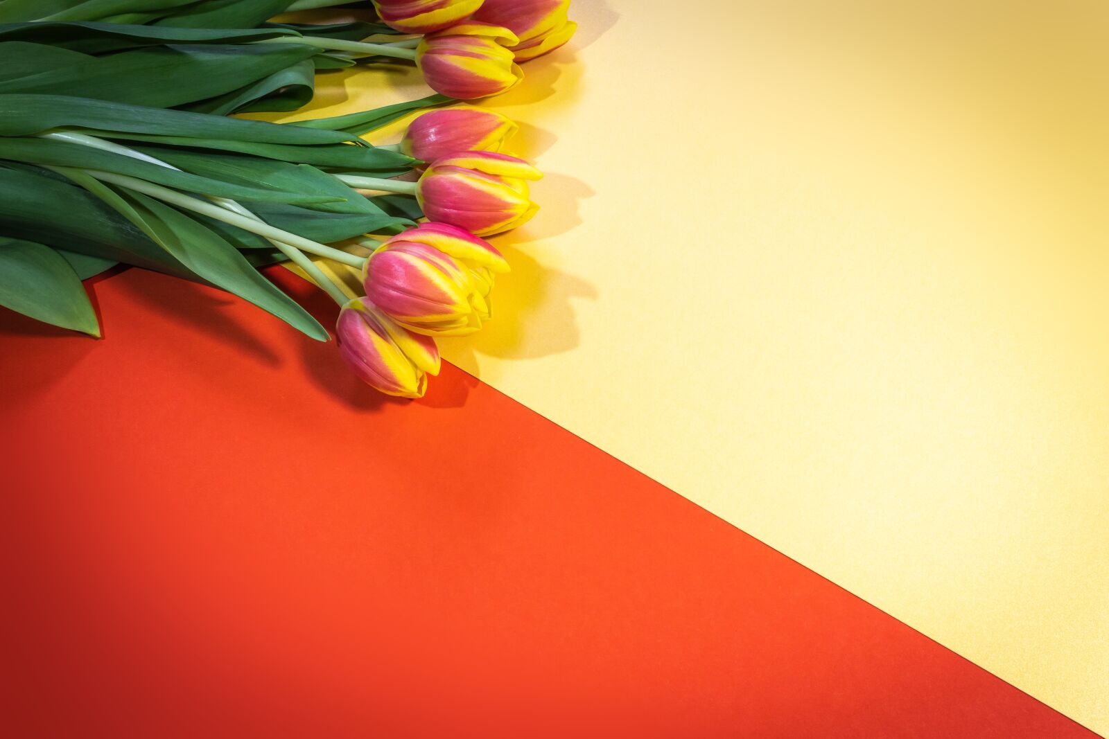 Canon EOS 1300D (EOS Rebel T6 / EOS Kiss X80) sample photo. Tulips, bouquet, spring photography