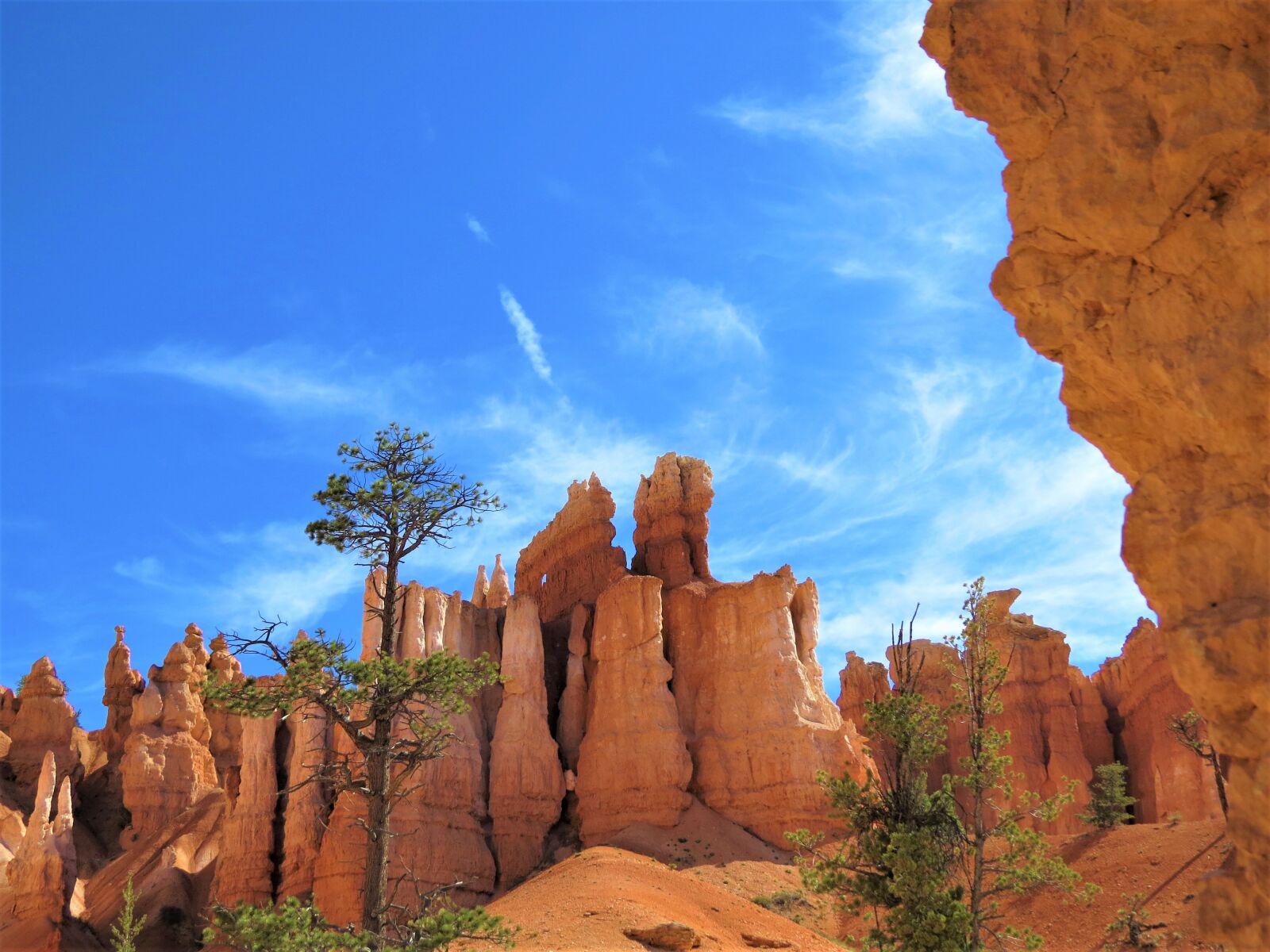 Canon PowerShot SX50 HS sample photo. Bryce canyon, utah, red photography