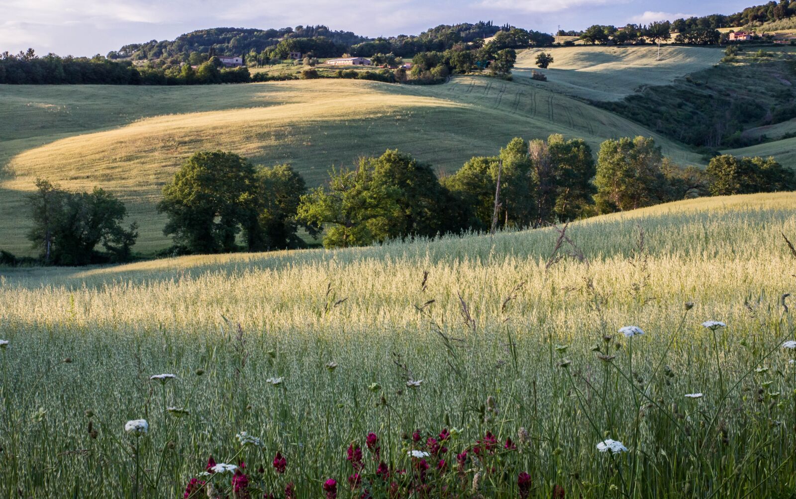 Canon EOS 60D sample photo. Tuscany, italy, landscape photography