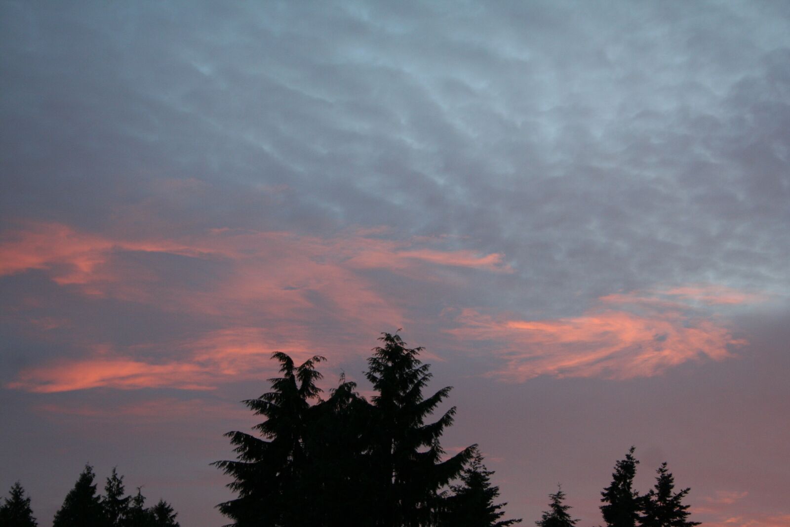 Canon EOS 350D (EOS Digital Rebel XT / EOS Kiss Digital N) sample photo. Sunset, sky, nature photography