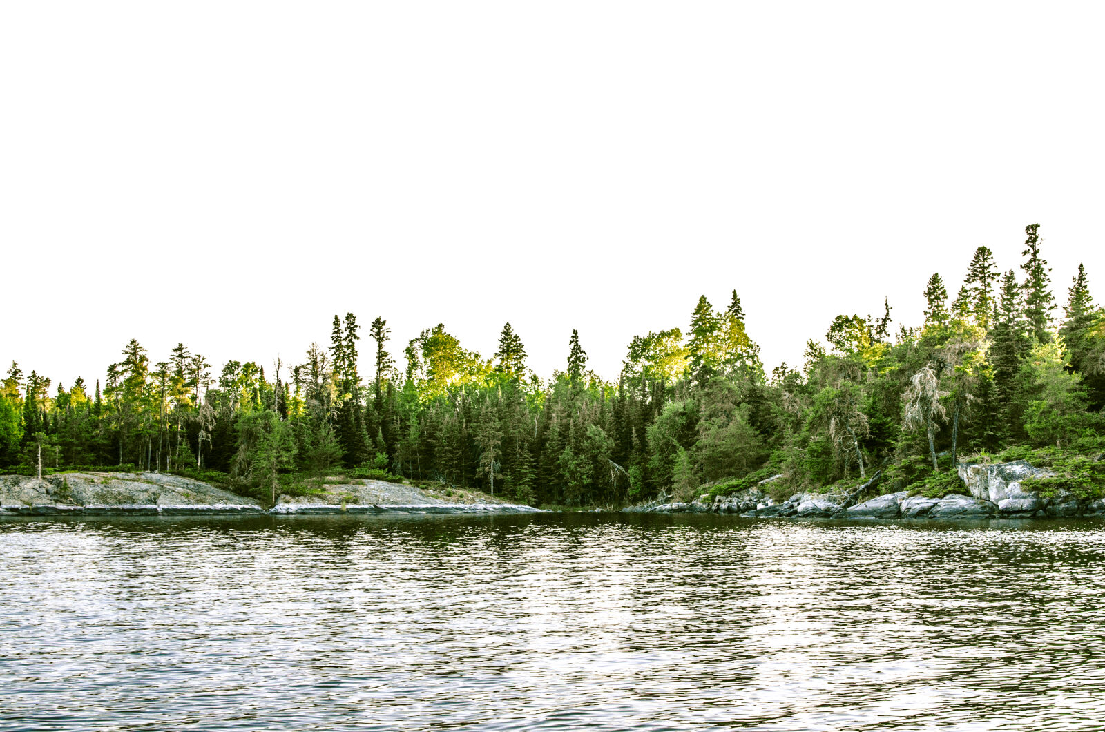 Nikon D5100 + Nikon AF-S DX Nikkor 35mm F1.8G sample photo. Landscape, nature, pexels photography