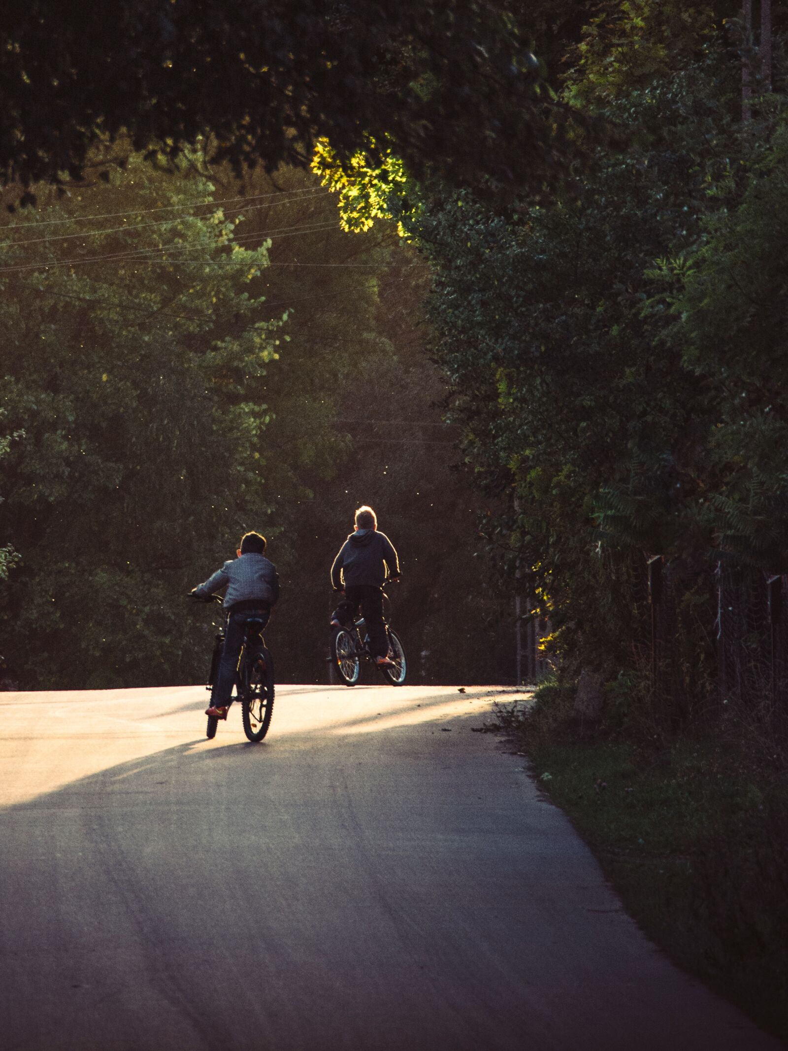 Olympus OM-D E-M5 sample photo. Bikes, bicycles, cycling photography