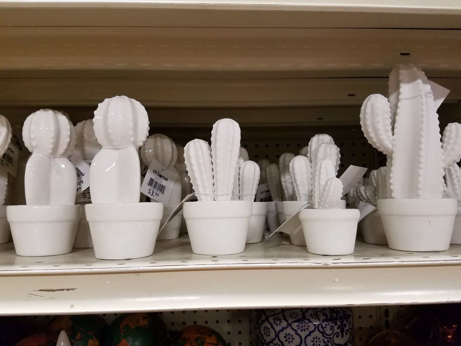 Samsung Galaxy S7 sample photo. Cactus, ceramic, decoration photography