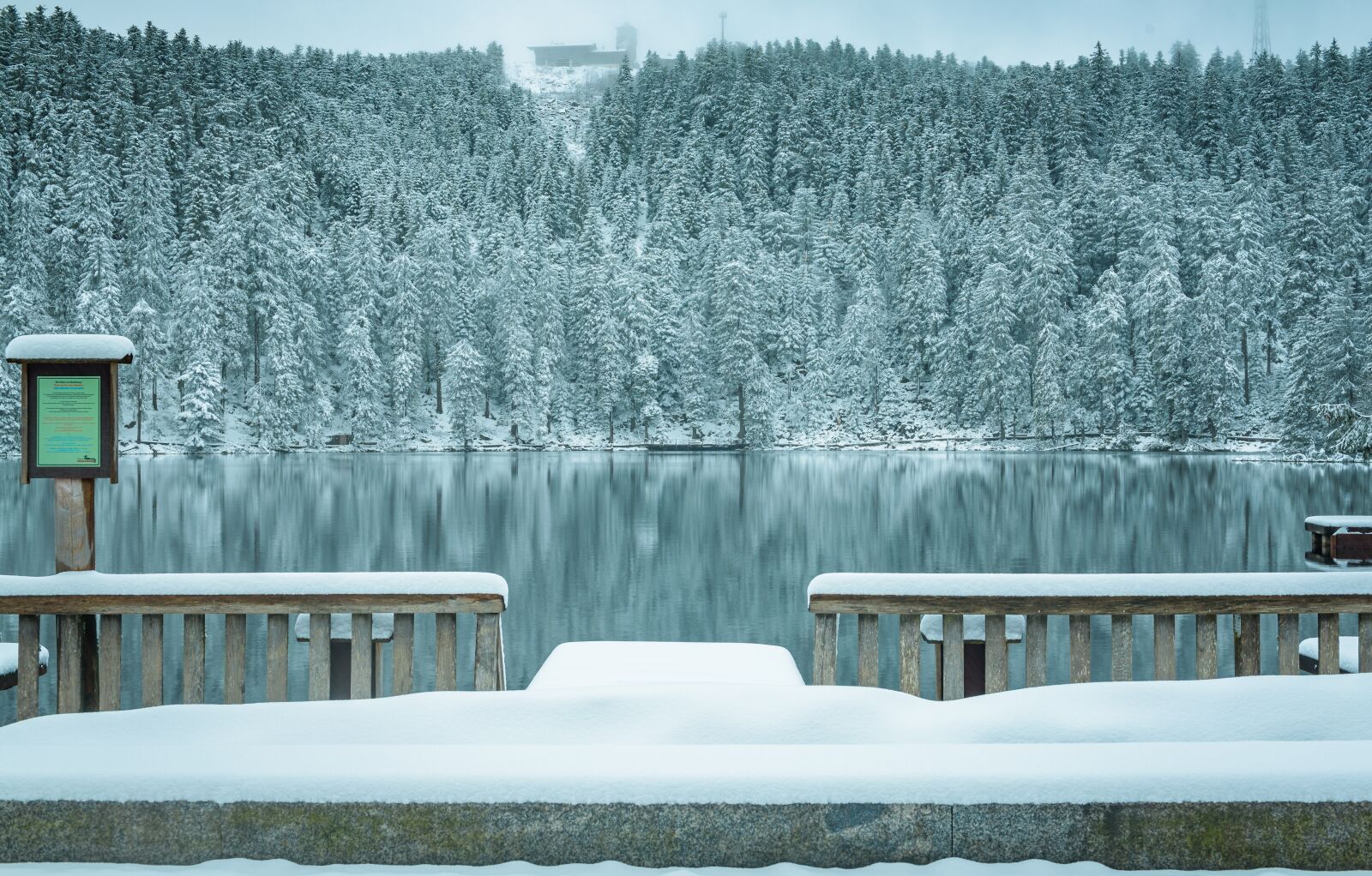 Nikon D750 sample photo. Black forest, waldsee, winter photography