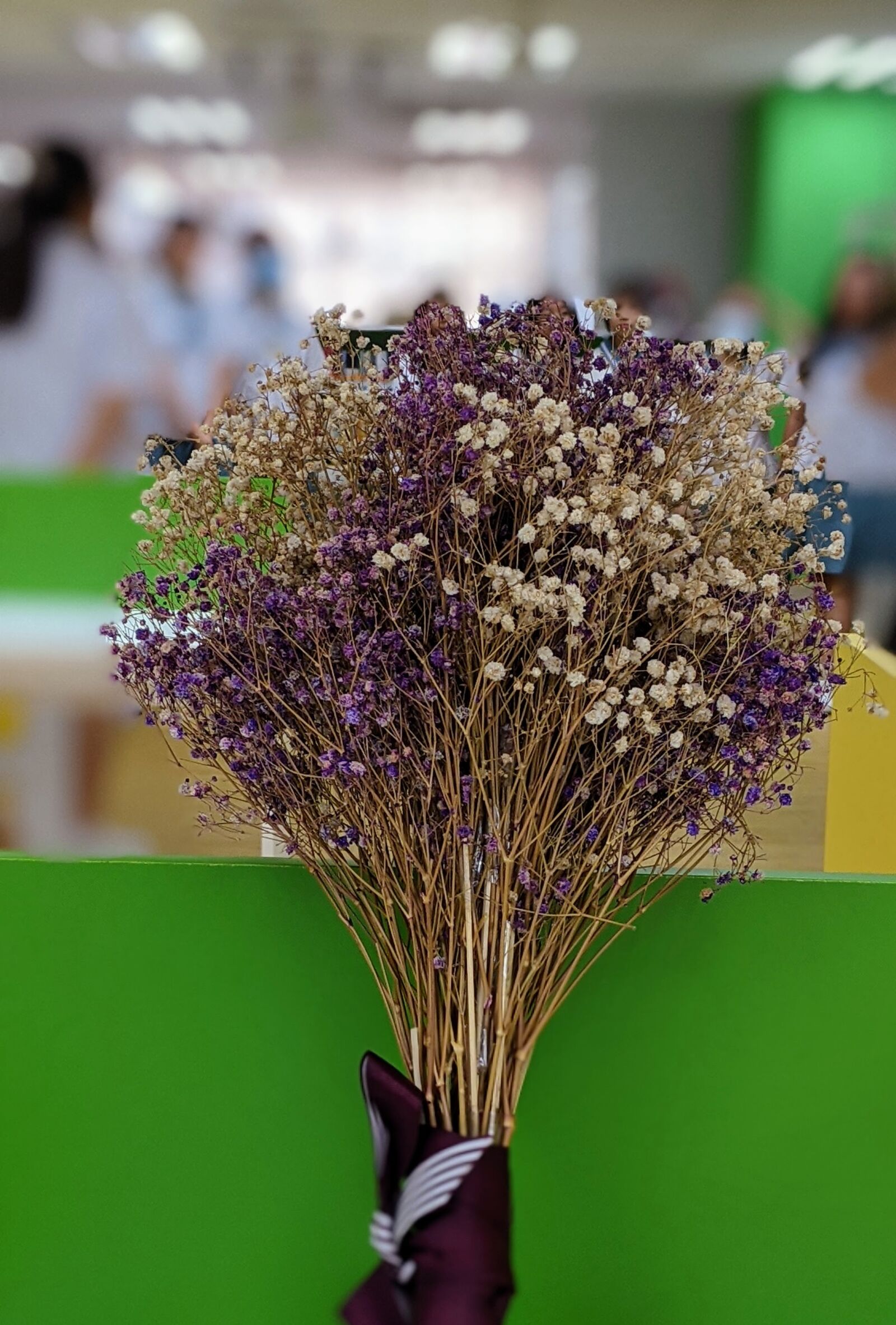 Google Pixel 3a XL sample photo. Dried flower, wildflowers, dry photography
