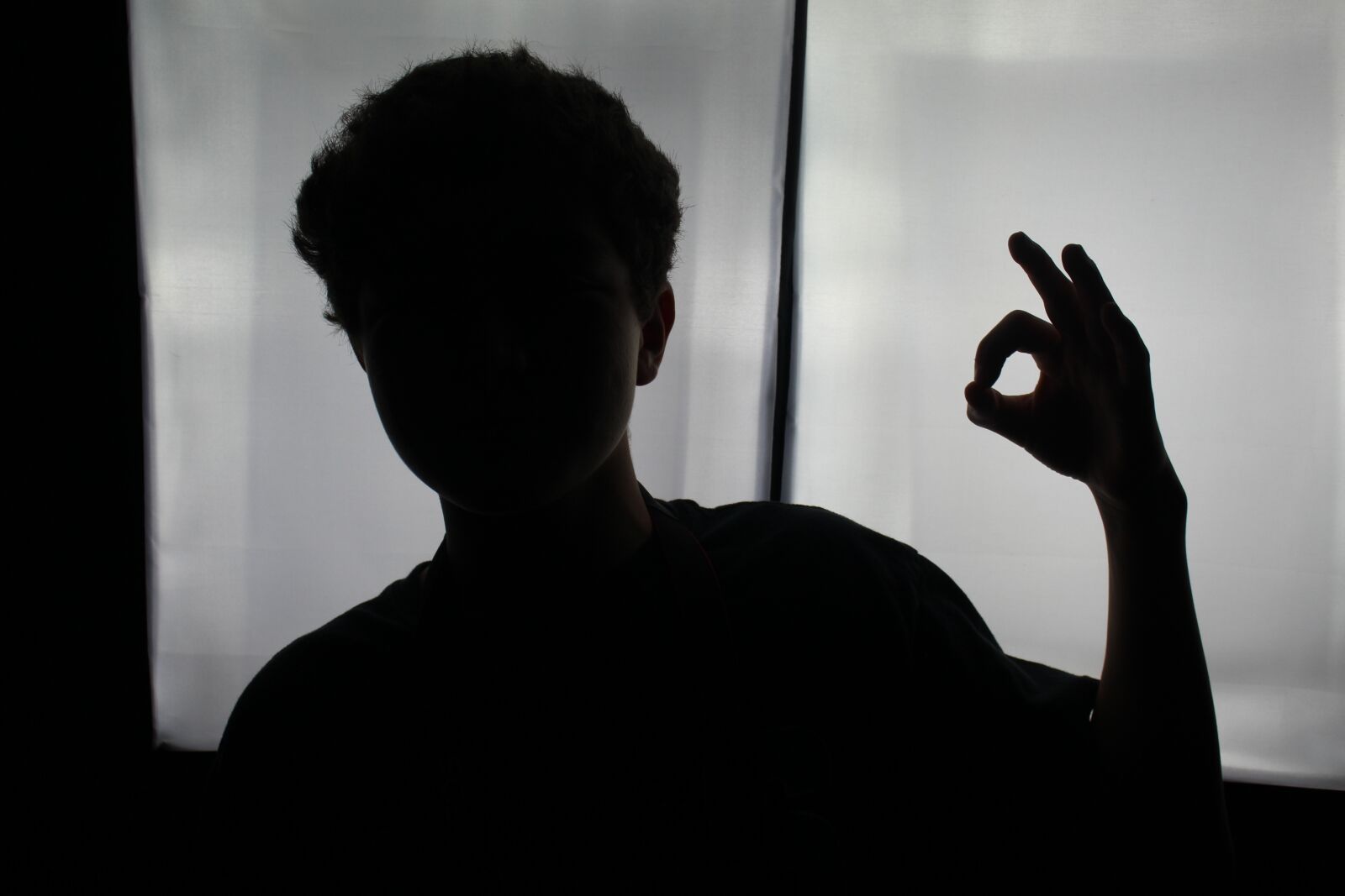 Canon EOS 1200D (EOS Rebel T5 / EOS Kiss X70 / EOS Hi) sample photo. Ok, sillhouette, black and photography