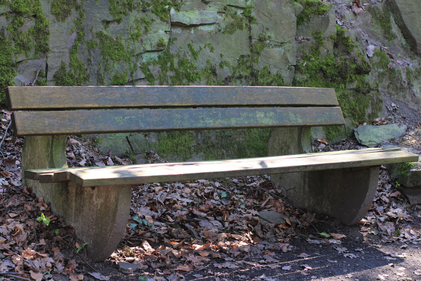 Canon EOS 2000D (EOS Rebel T7 / EOS Kiss X90 / EOS 1500D) sample photo. Bank, old, bench photography