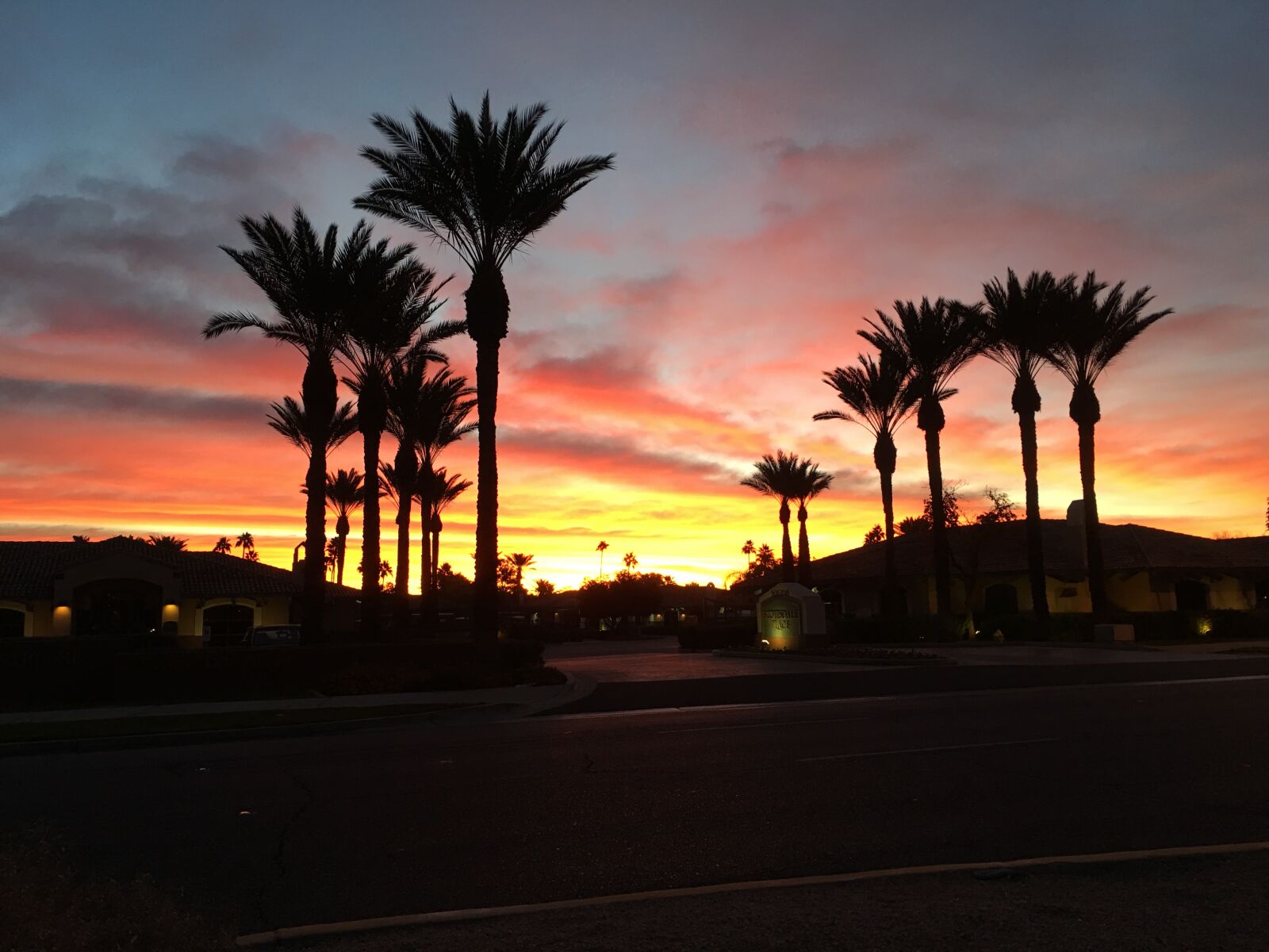 iPhone 6s Plus back camera 4.15mm f/2.2 sample photo. Sunset, palm tree, palm photography