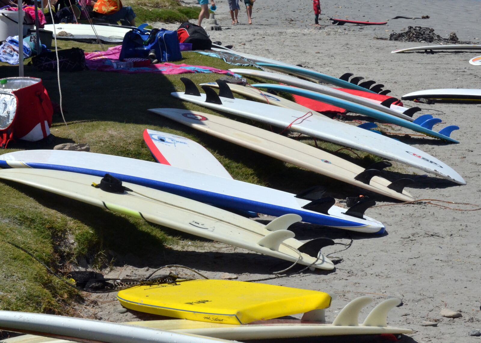 Nikon D3100 sample photo. Skiing, summer, sport photography