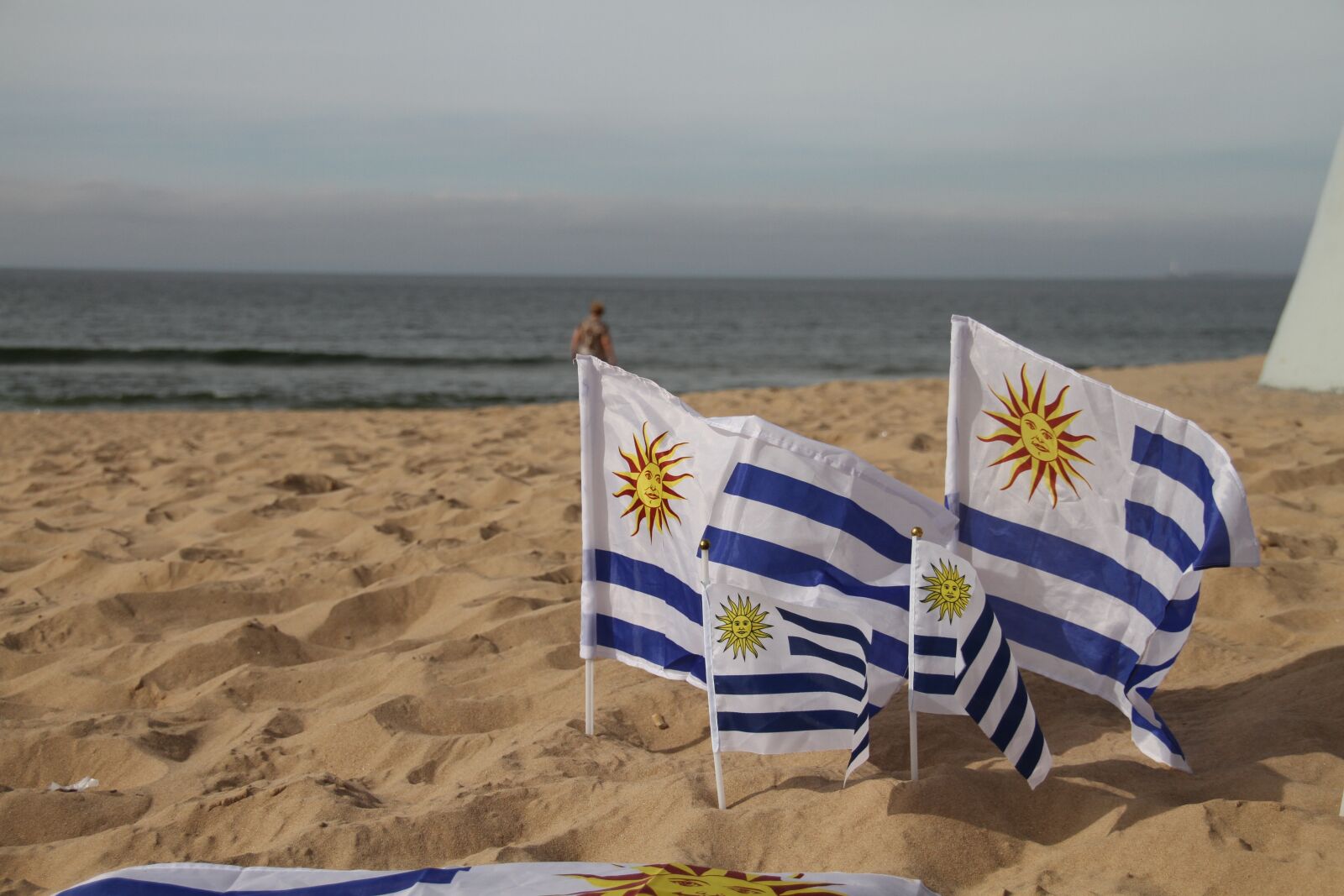 Canon EOS 7D sample photo. Uruguay, flag, country photography